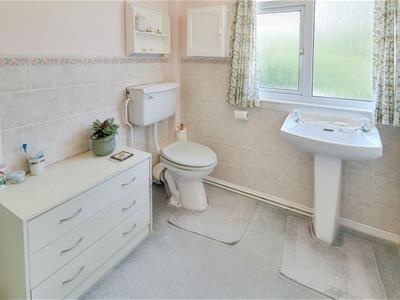 Picture 21